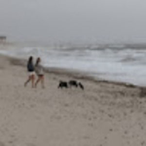 Meet your Posher, Morgan